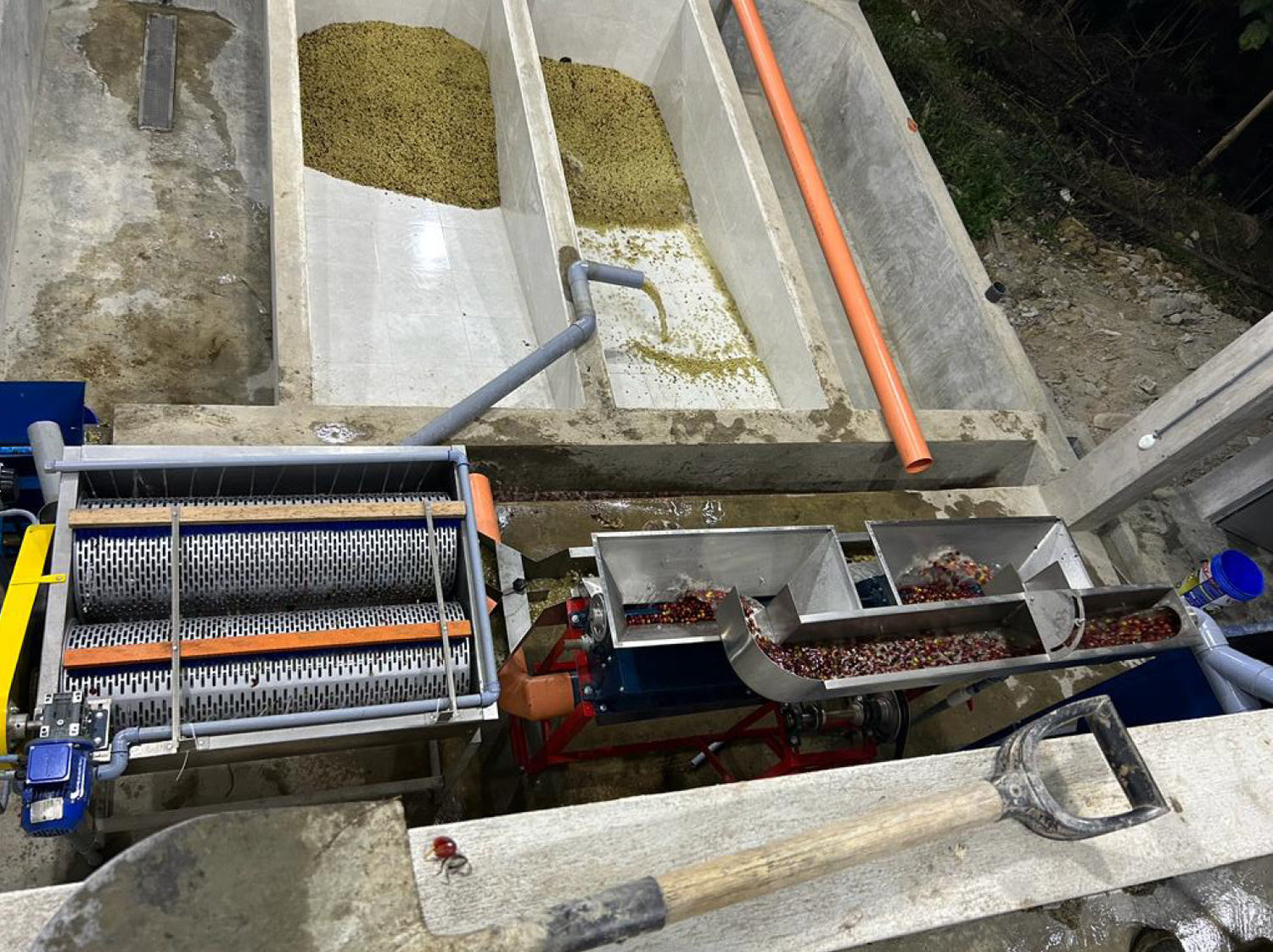 coffee beans processing